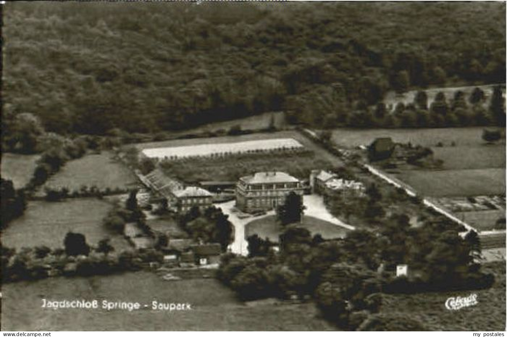 Springe Deister Springe Saupark Fliegeraufnahme ungelaufen ca. 1955