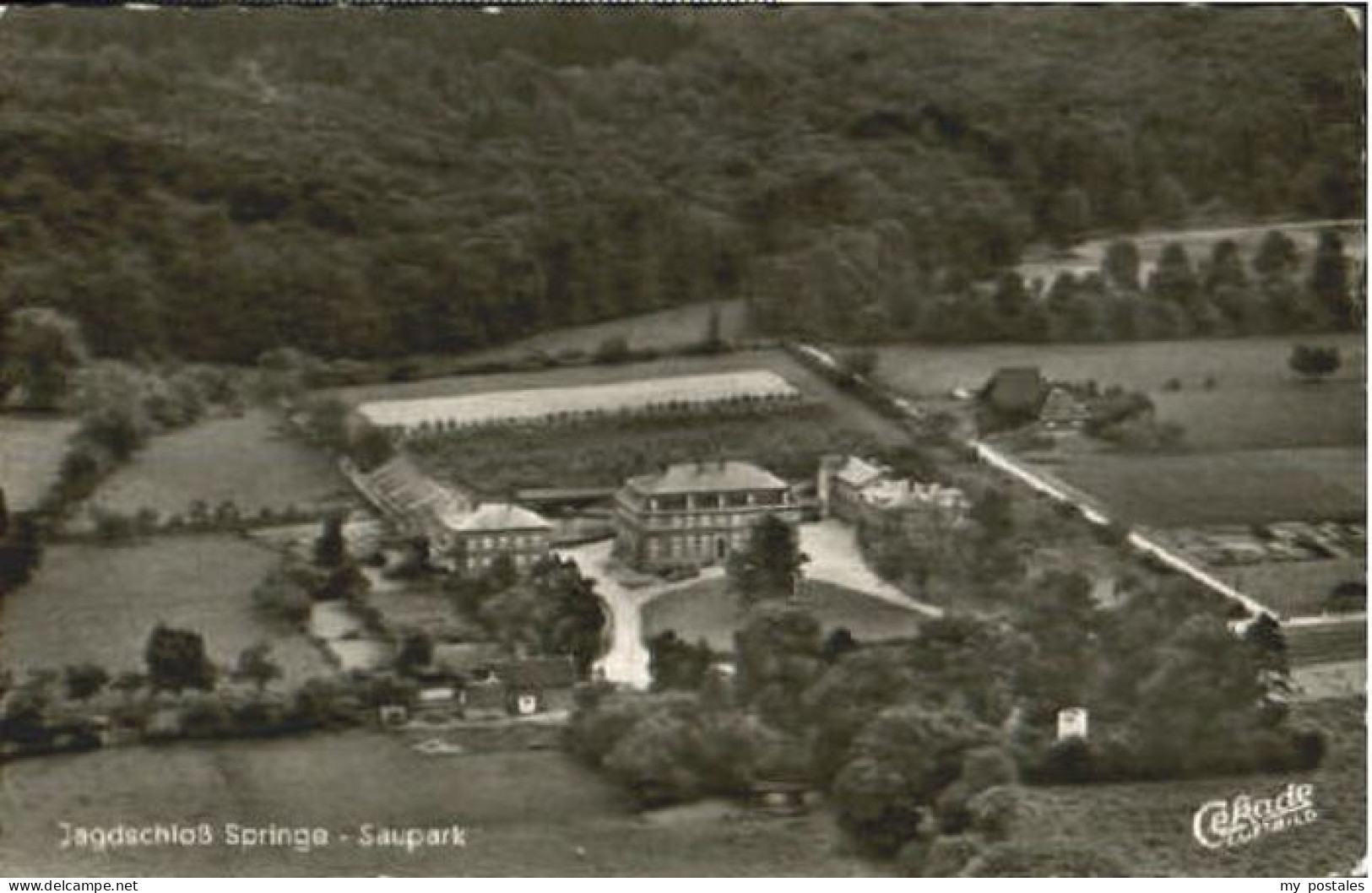 Springe Deister Springe Saupark Fliegeraufnahme x 1956