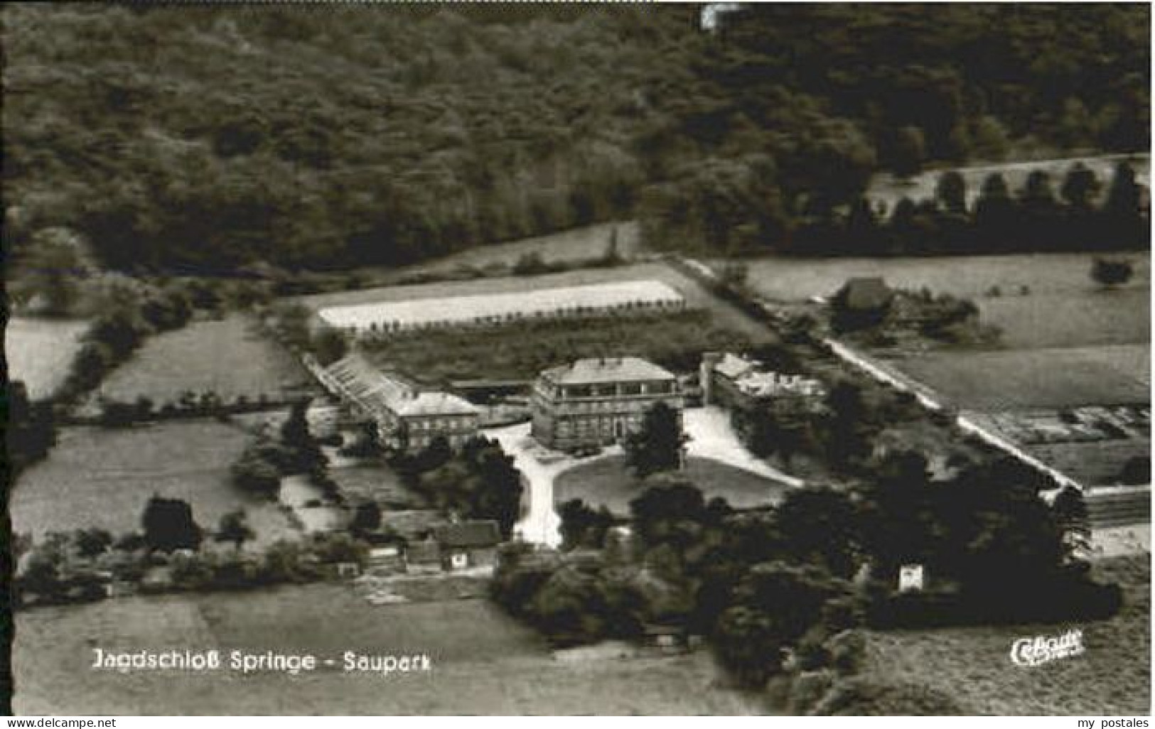 Springe Deister Springe Saupark Fliegeraufnahme x 1961