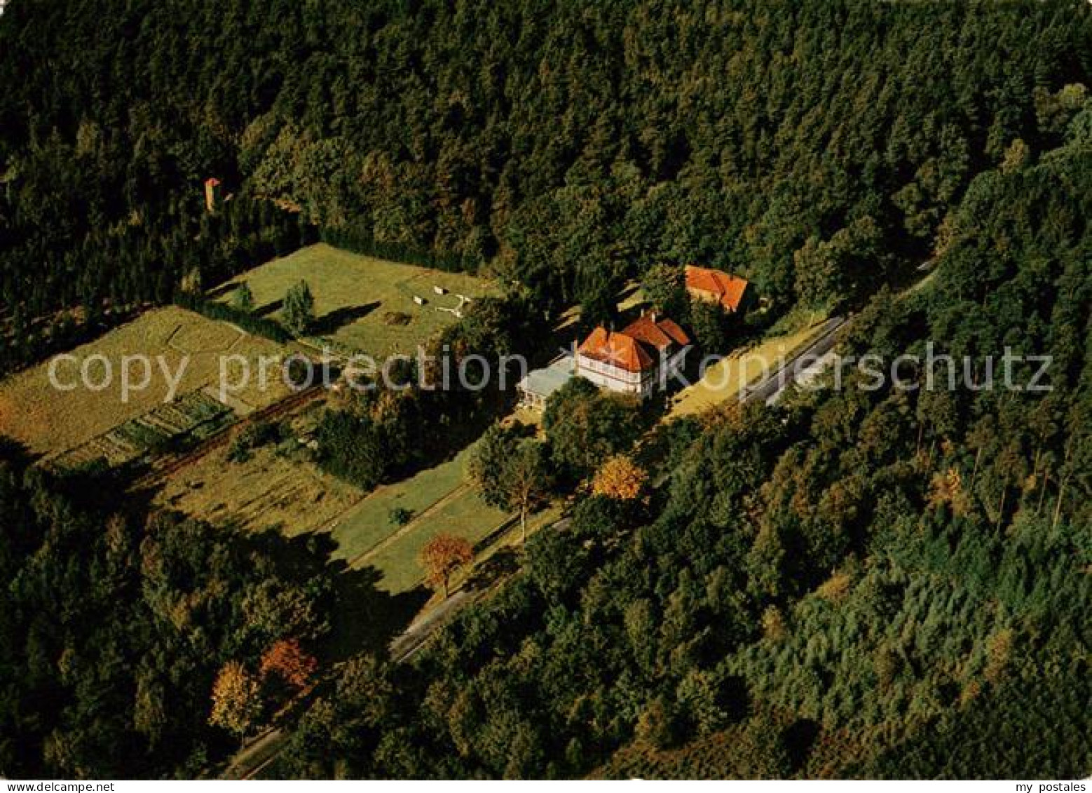 Sproetze Waldheim Lohbergen