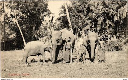 PC CEYLON SRI LANKA ELEPHANTS, CEYLON (a75814)