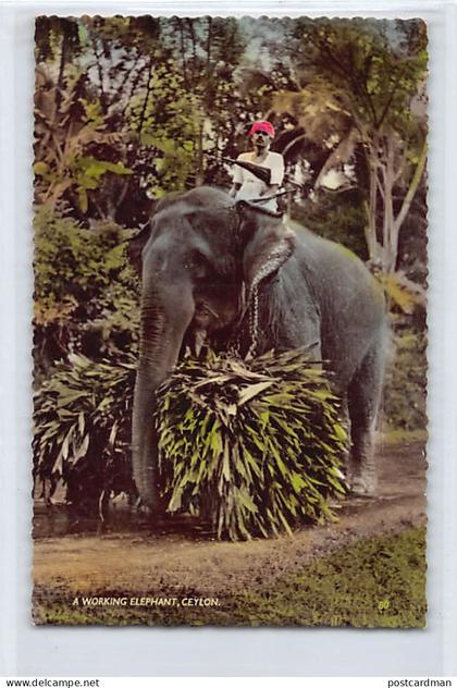 Sri Lanka - A working elephant - Publ. Ceylon Pictorials 80