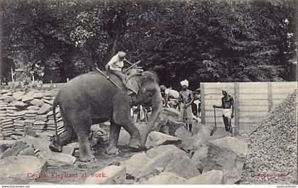 Sri Lanka - Ceylon elephant at work - Publ. Skeen-Photo