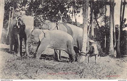 Sri Lanka - Ceylon elephant kraal - Publ. Skeen-Photo