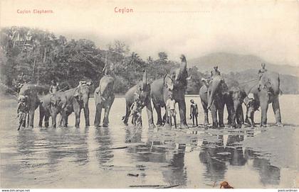 SRI LANKA - Ceylon Elephants - Publ. Plâté & Co. 58