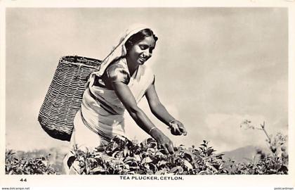 Sri Lanka - Tea plucker - Publ. Ceylon Pictorials 44