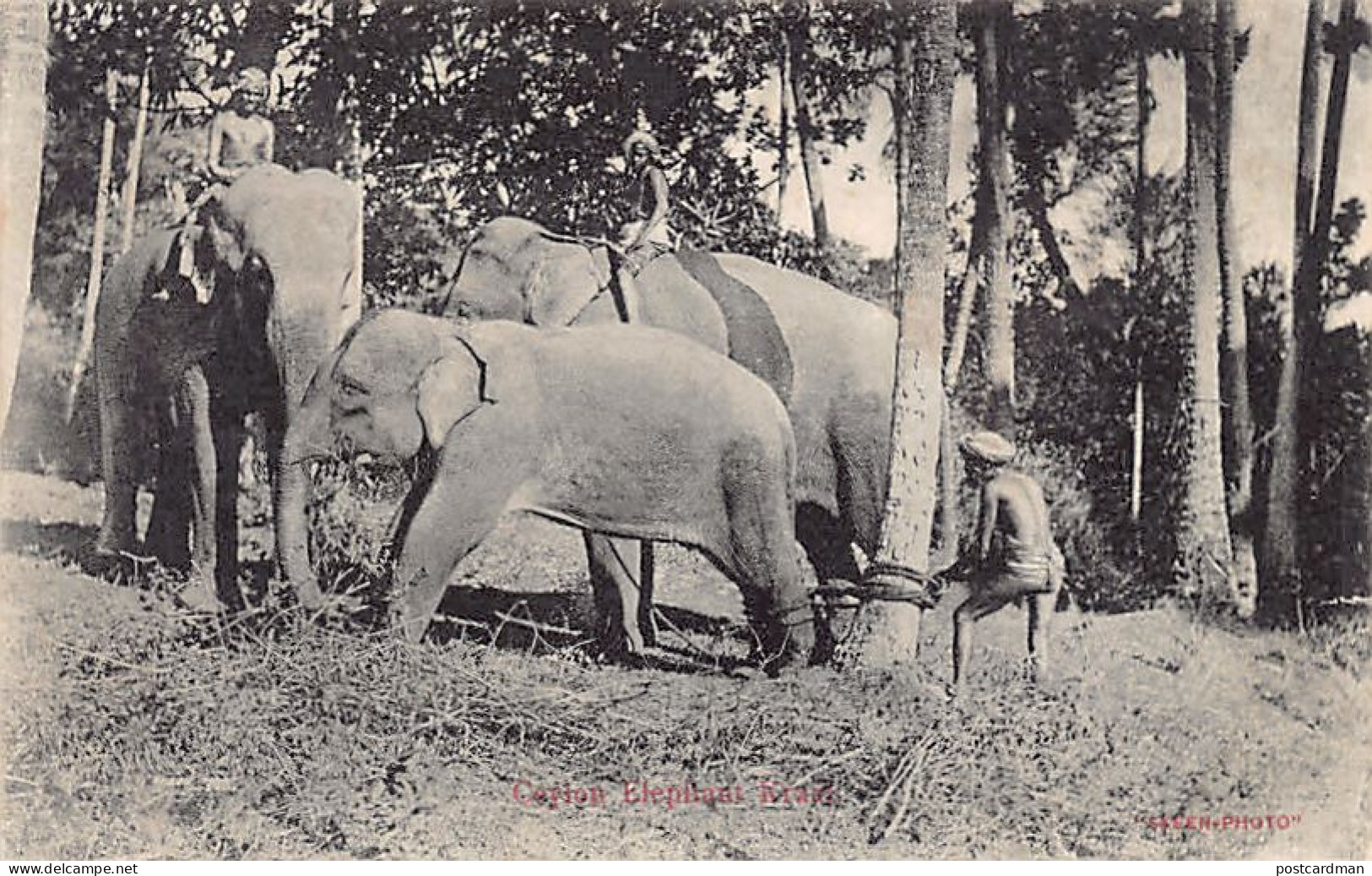 Sri Lanka - Ceylon elephant kraal - Publ. Skeen-Photo