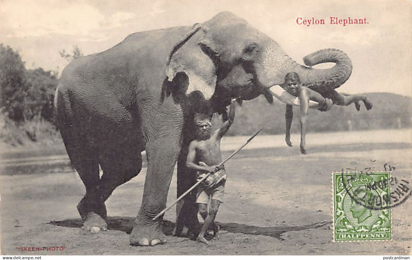 Sri Lanka - Ceylon elephant - Publ. Skeen-Photo