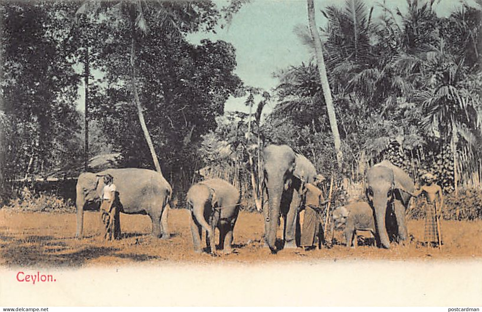 Sri Lanka - Ceylon elephants - Publ. C. H. 652