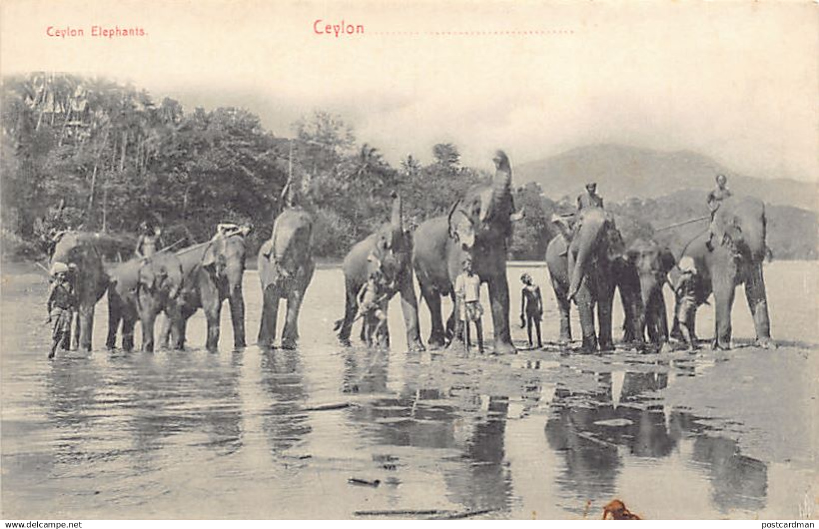 SRI LANKA - Ceylon Elephants - Publ. Plâté & Co. 58