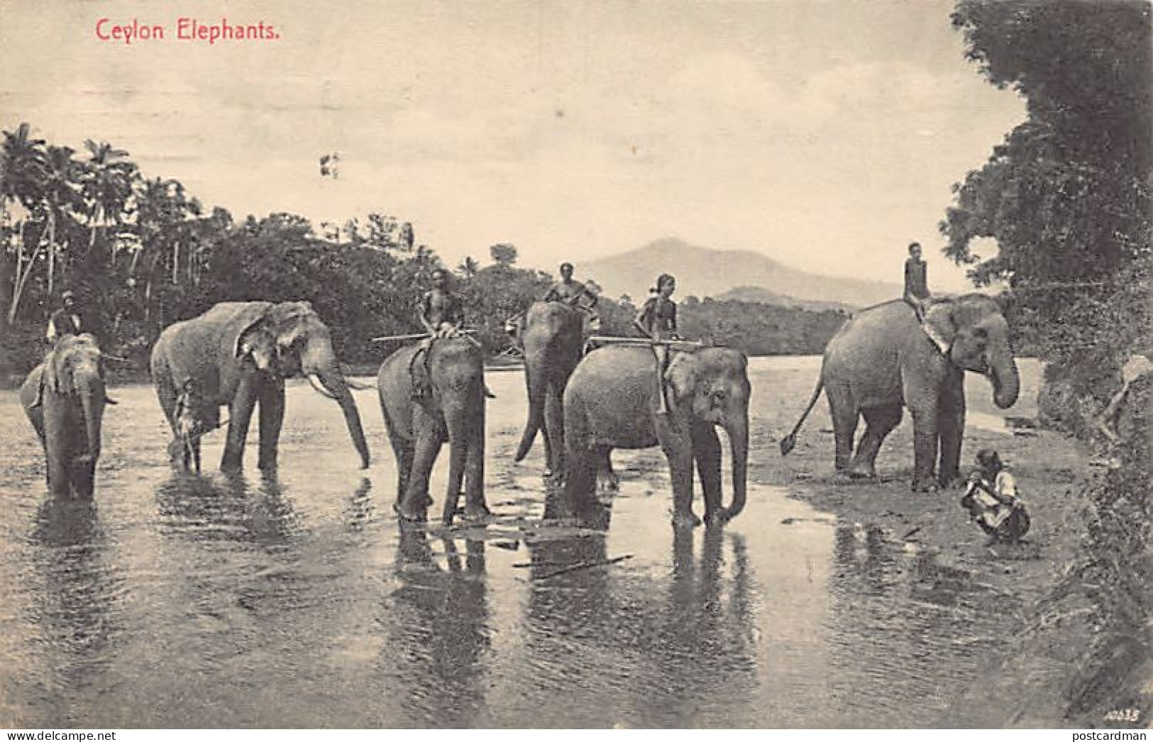Sri Lanka - Ceylon elephants - Publ. Plâté & Co. 60