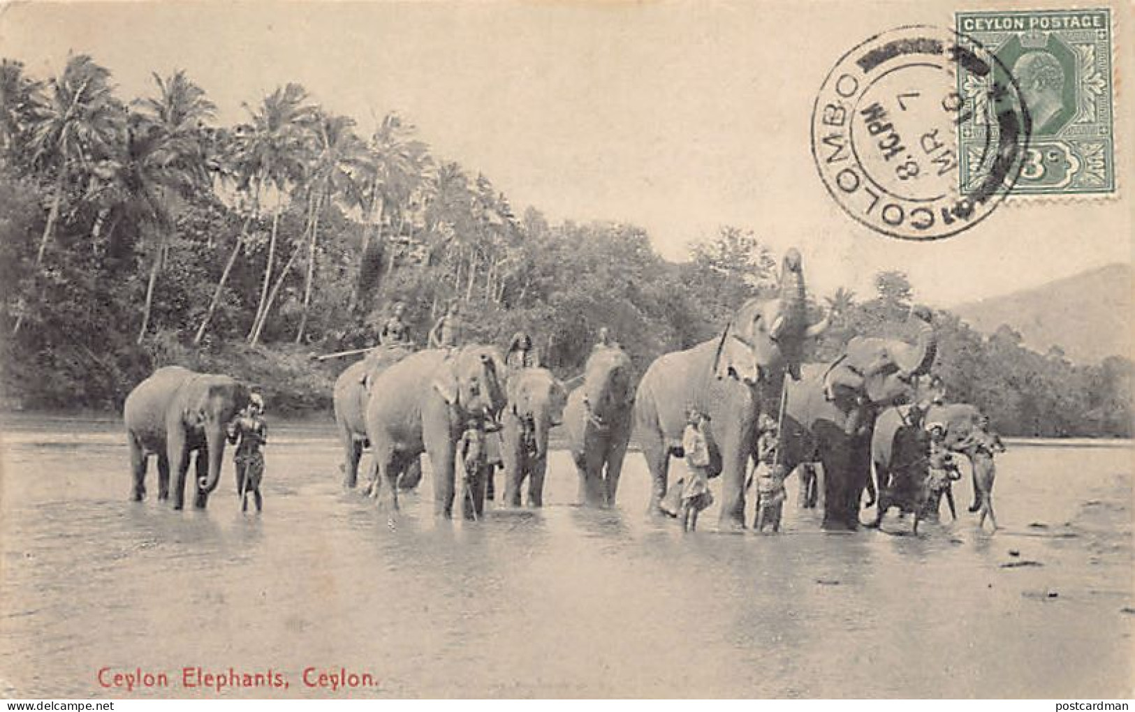 Sri Lanka - Ceylon elephants - Publ. Plâté & Co. 60