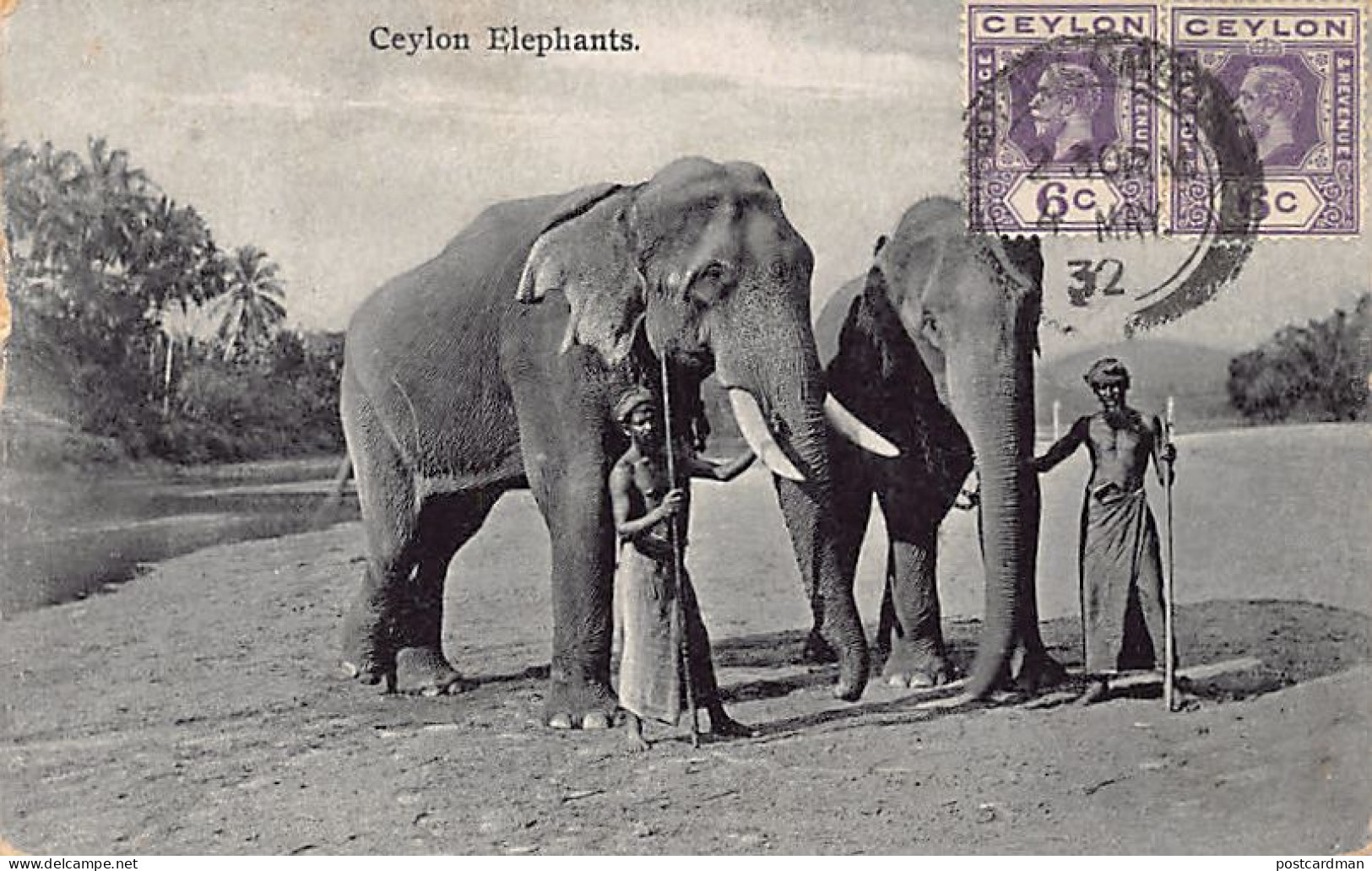 Sri Lanka - Ceylon elephants - Publ. Plâté Ltd. 41