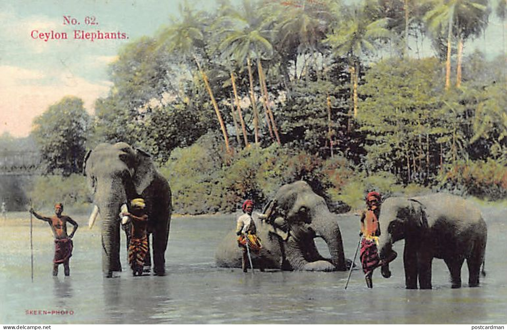 Sri Lanka - Ceylon elephants - Publ. Skeen-Photo 62