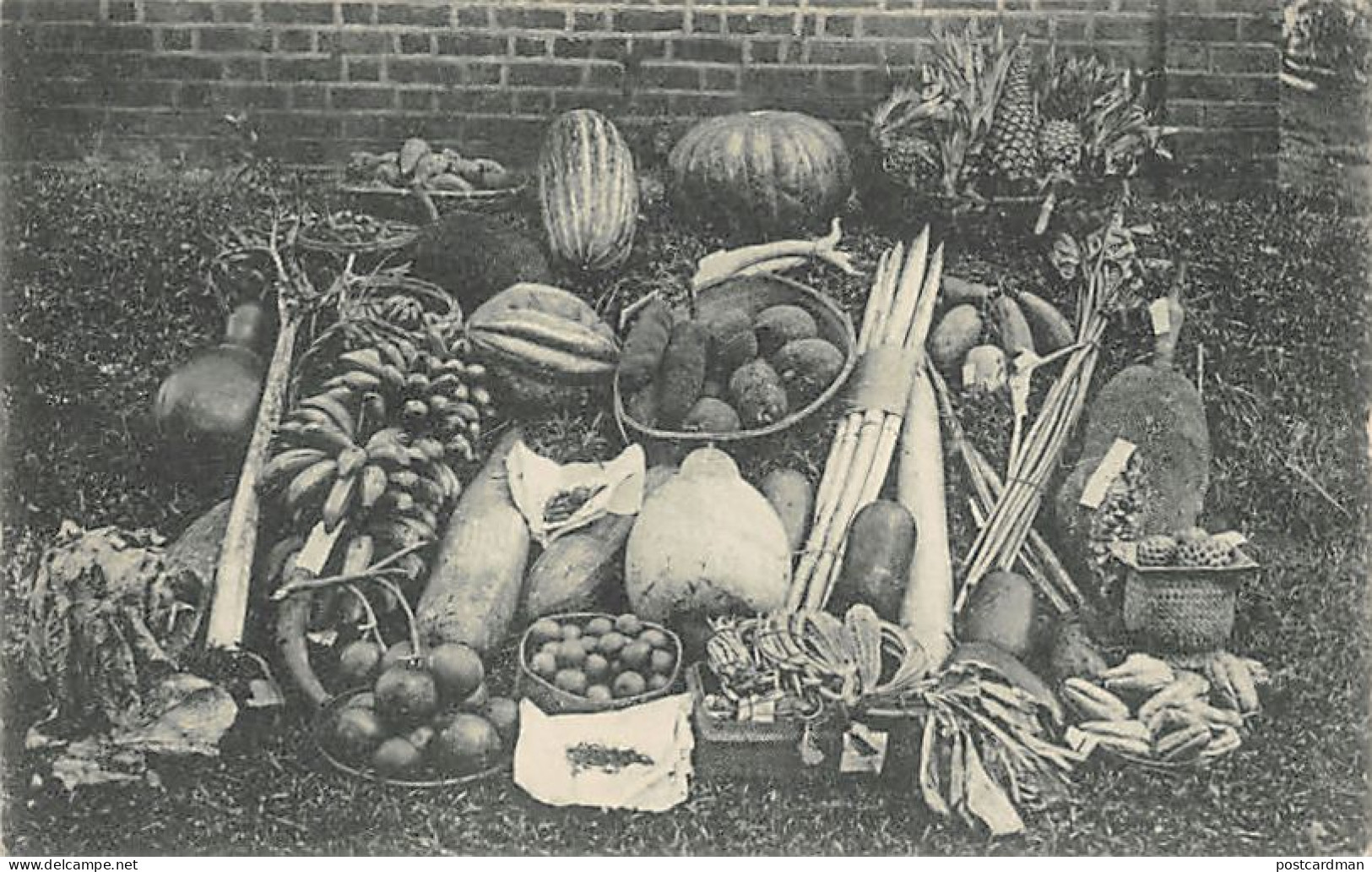 Sri Lanka - Ceylon fruits - Publ. Plâté & Co. 228