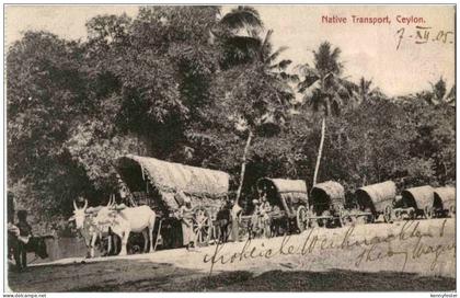 Ceylon - Native Transport