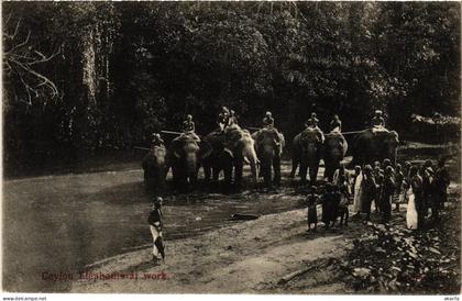 PC CEYLON SRI LANKA CEYLON ELEPHANTS AT WORK (a75830)