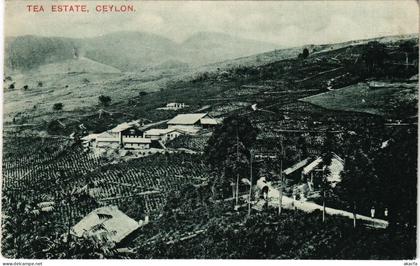 PC CEYLON SRI LANKA TEA ESTATE, CEYLON (a75848)