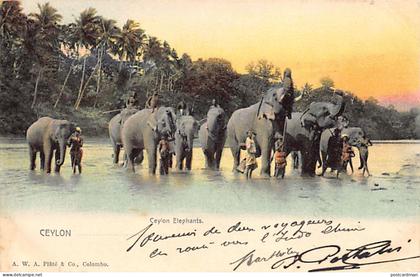 Sri Lanka - Ceylon elephants - Publ. A.W.A. Plâté & Co.