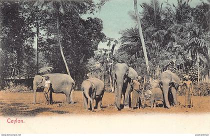 Sri Lanka - Ceylon elephants - Publ. C. H. 652