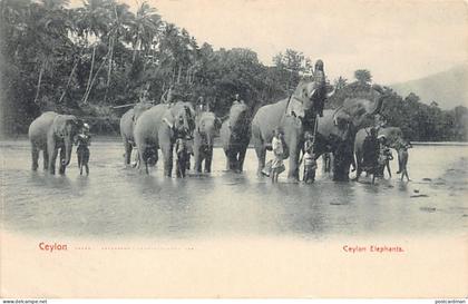 Sri Lanka - Ceylon elephants - Publ. Plâté & Co.
