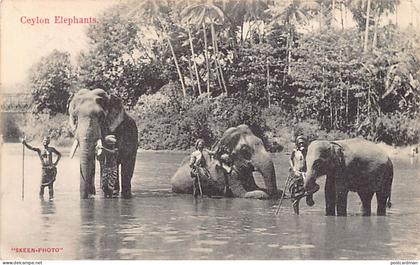 Sri Lanka - Ceylon elephants - Publ. Skeen-Photo