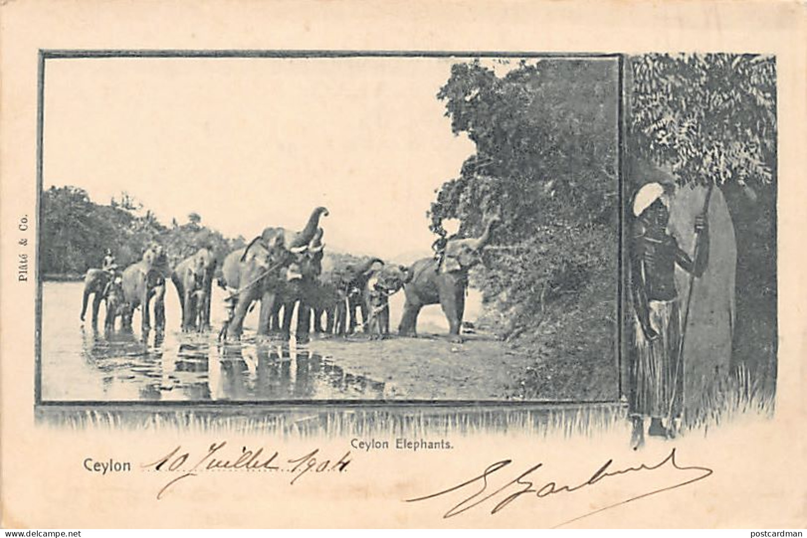 Sri Lanka - The Ceylon Elephants - Publ. Plâté & Co.
