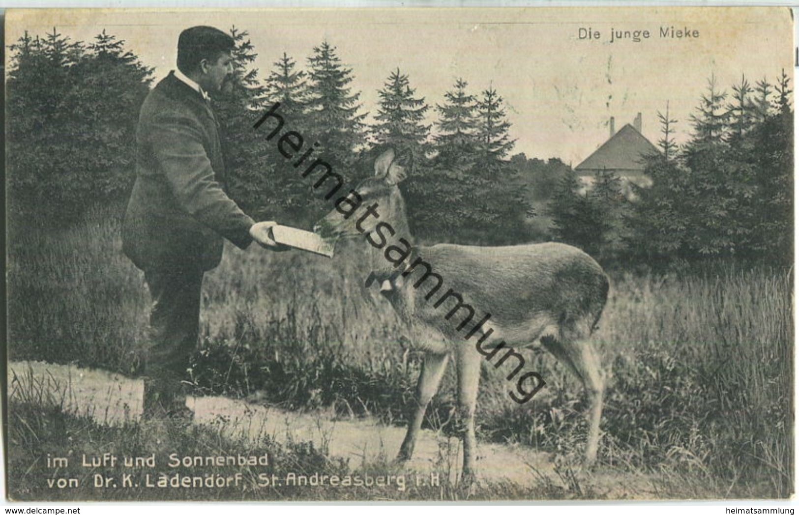 St. Andreasberg - Dr. K. Ladendorf - Die junge Mieke - Verlag Franz Schneider St. Andreasberg