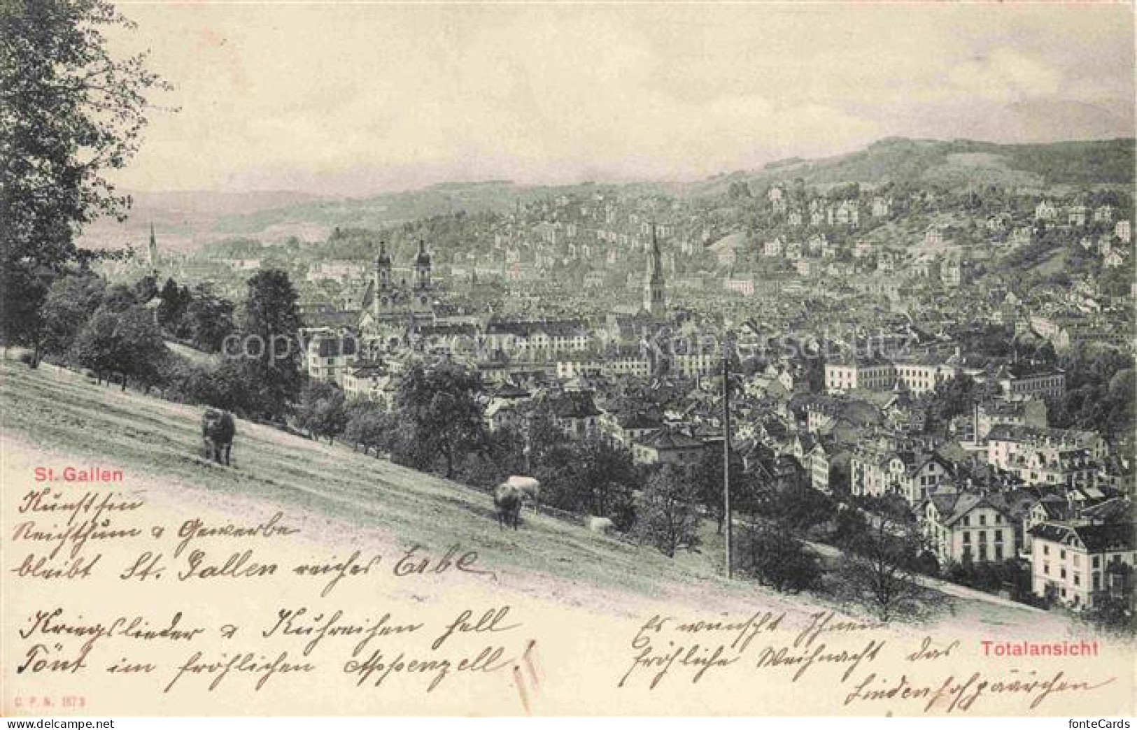 St Gallen SANKT GALLEN SG Totalansicht