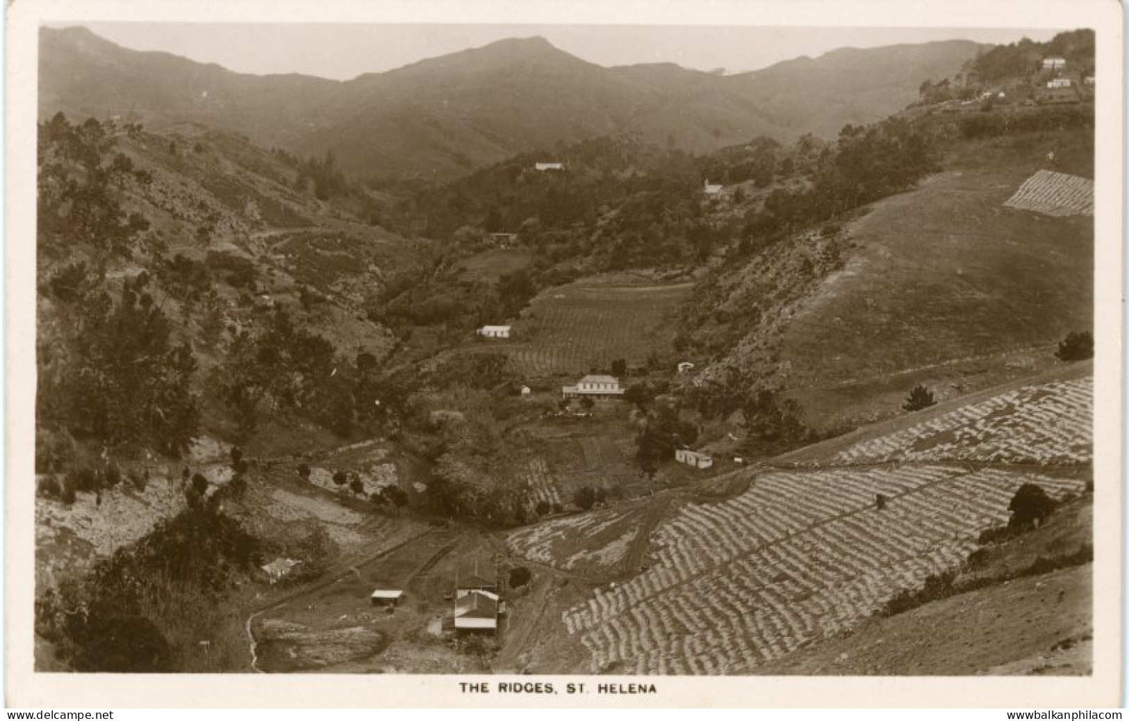 St Helena The Ridges photocard