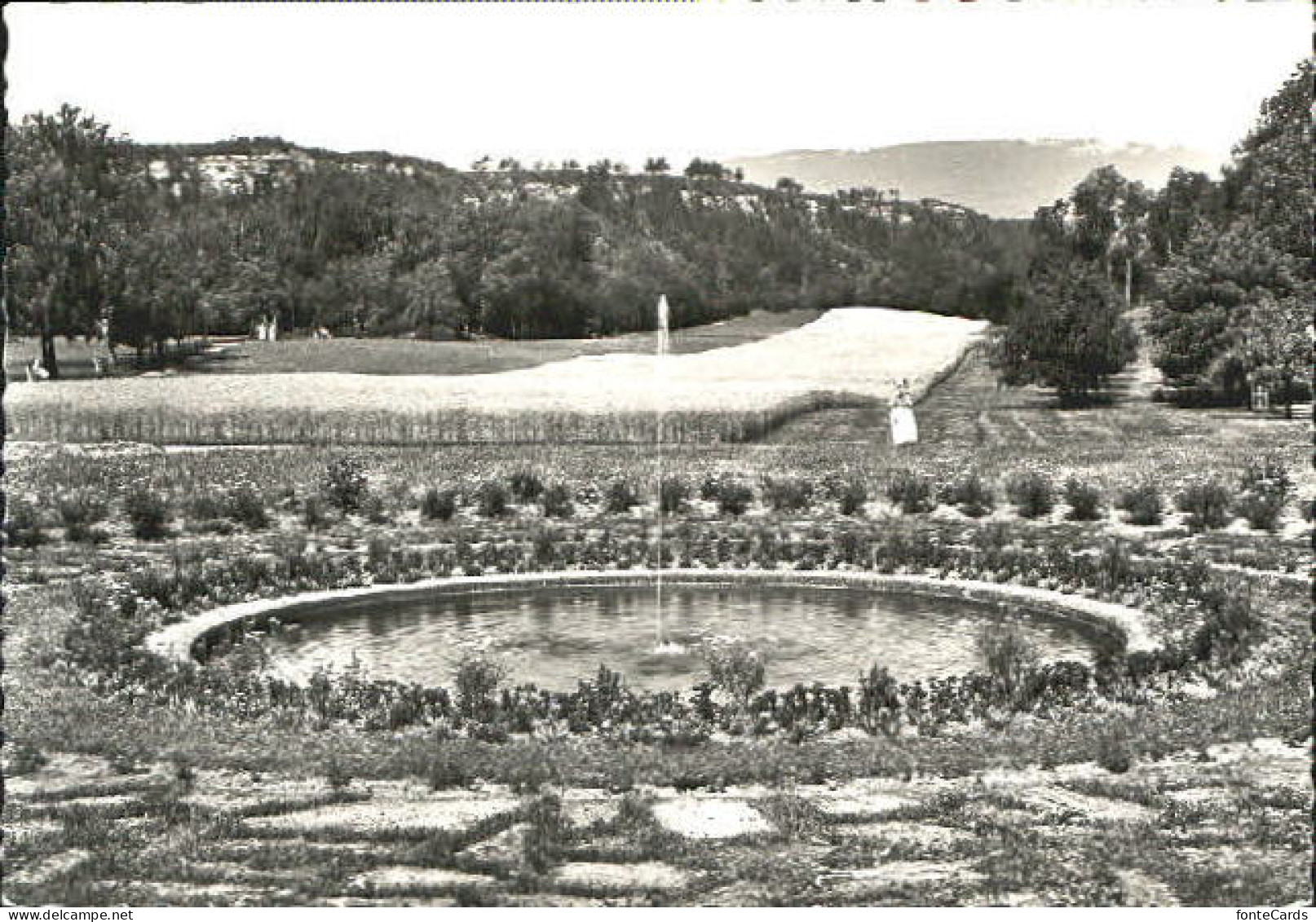 St Loup Pompaples