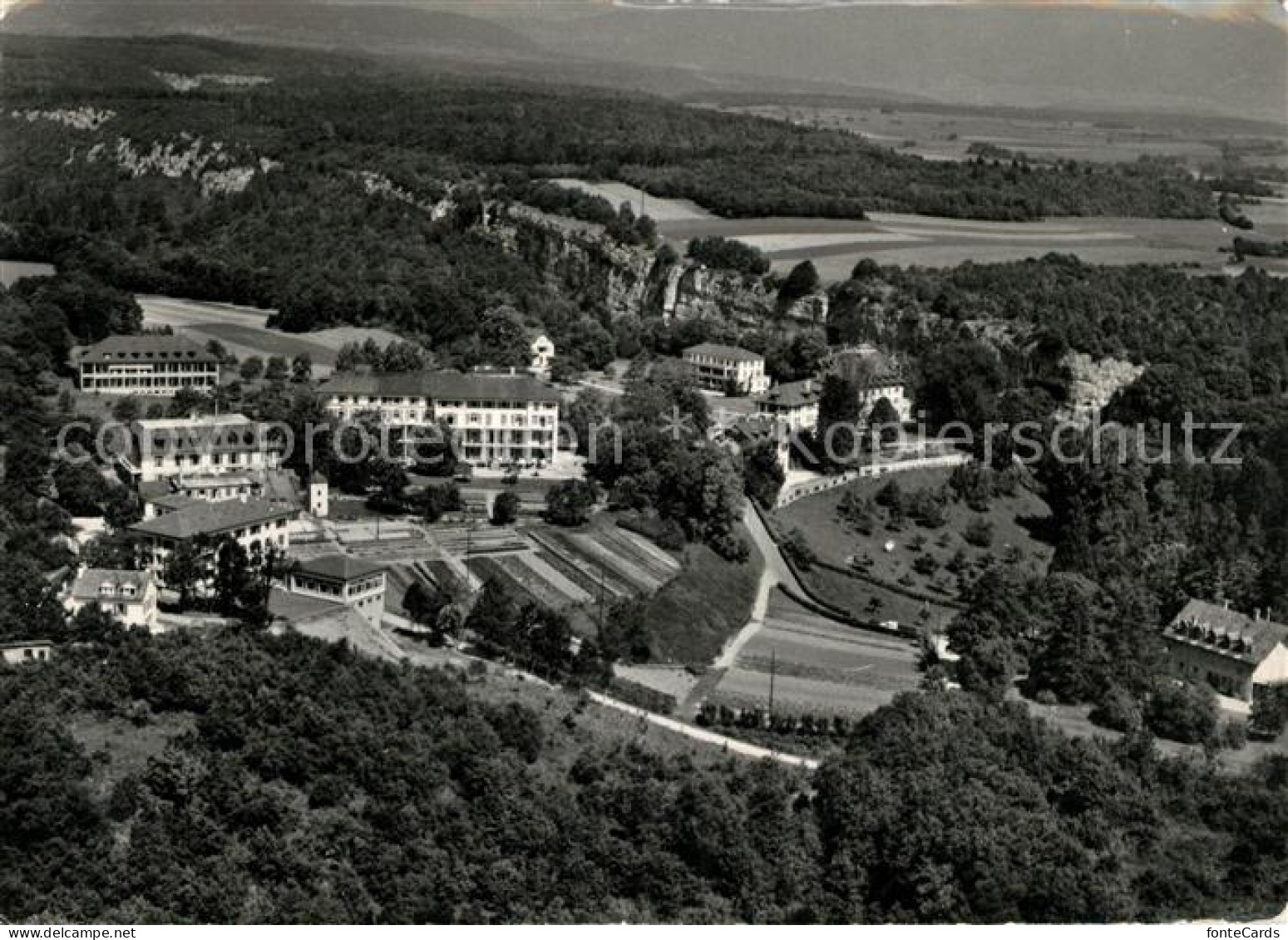St Loup Pompaples