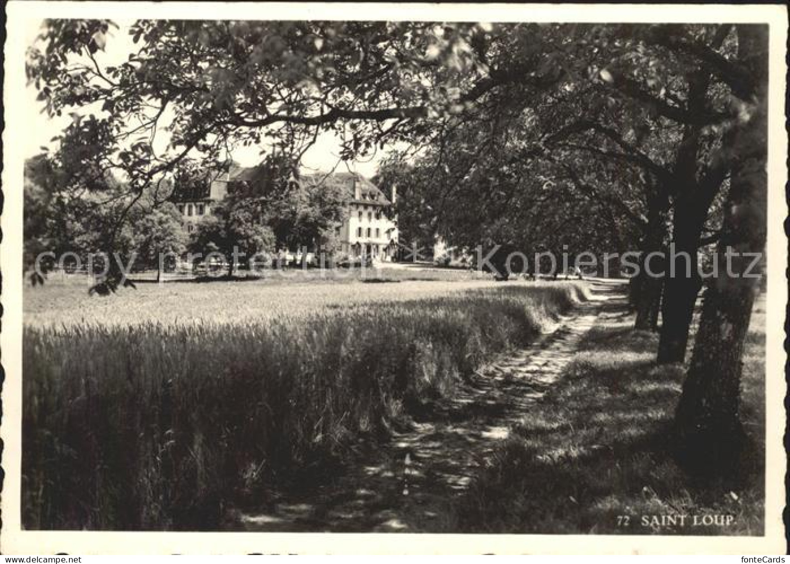 St Loup Pompaples Feldweg Hof