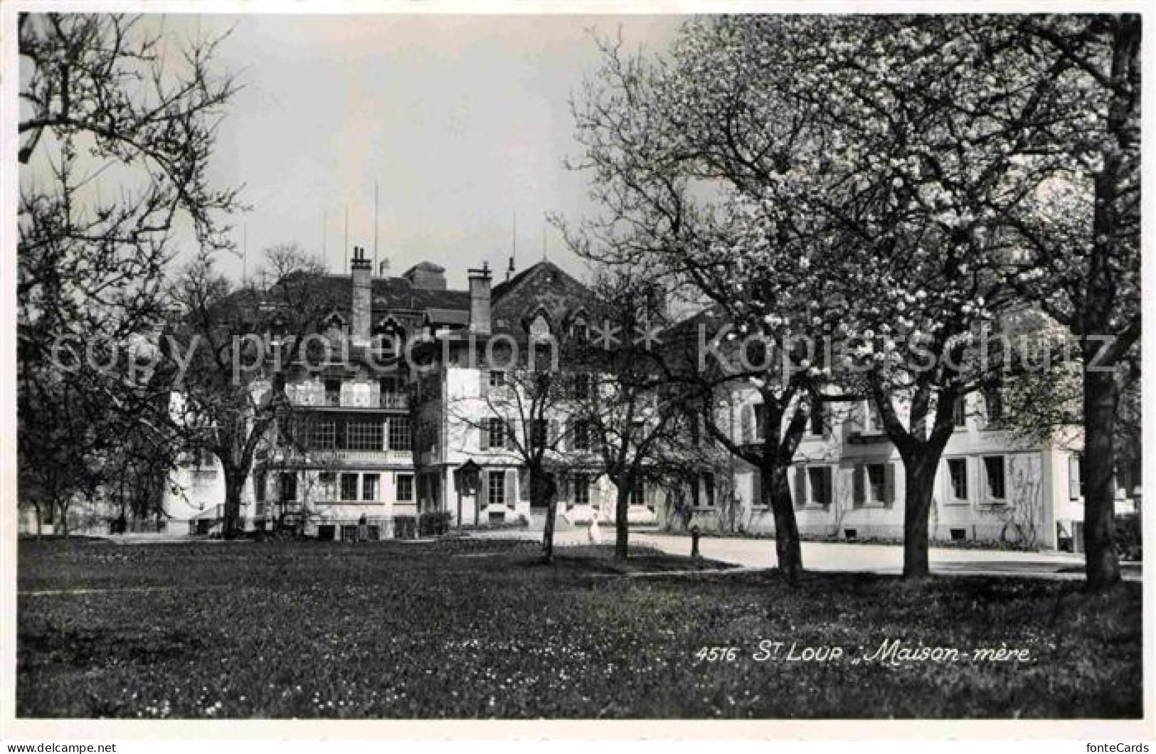 St Loup Pompaples Maison mere