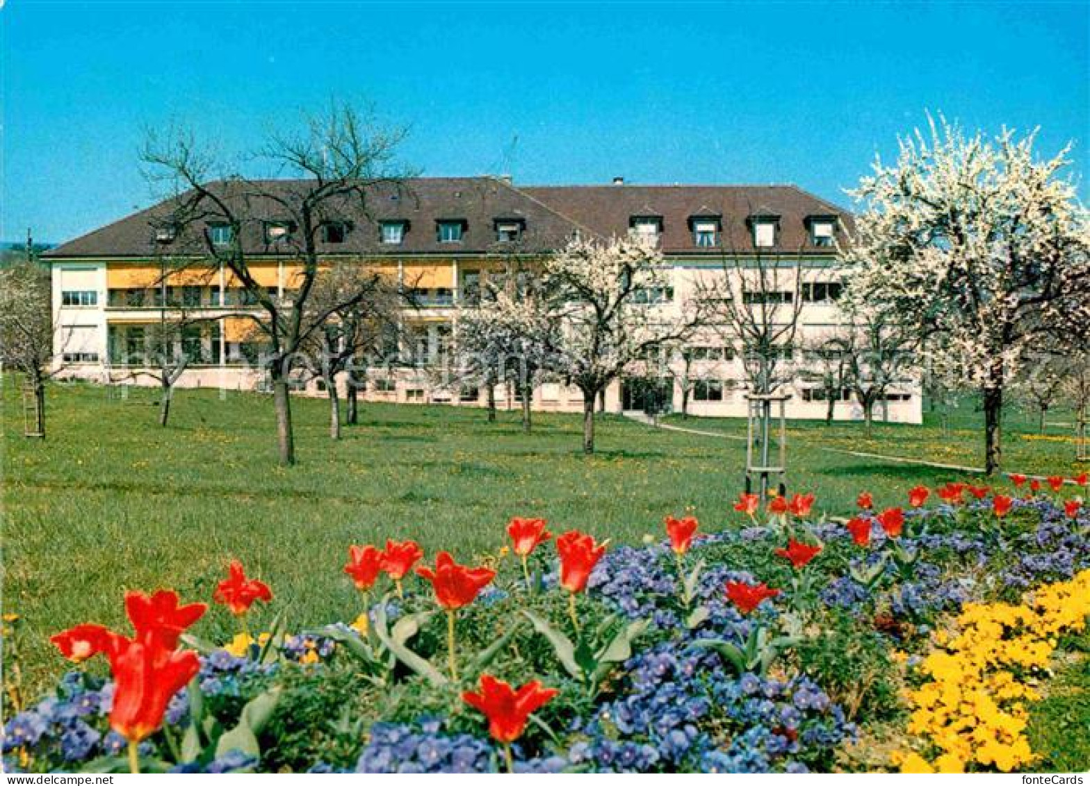 St Loup Pompaples Pavillon Germond Blumenbeet Baumbluete
