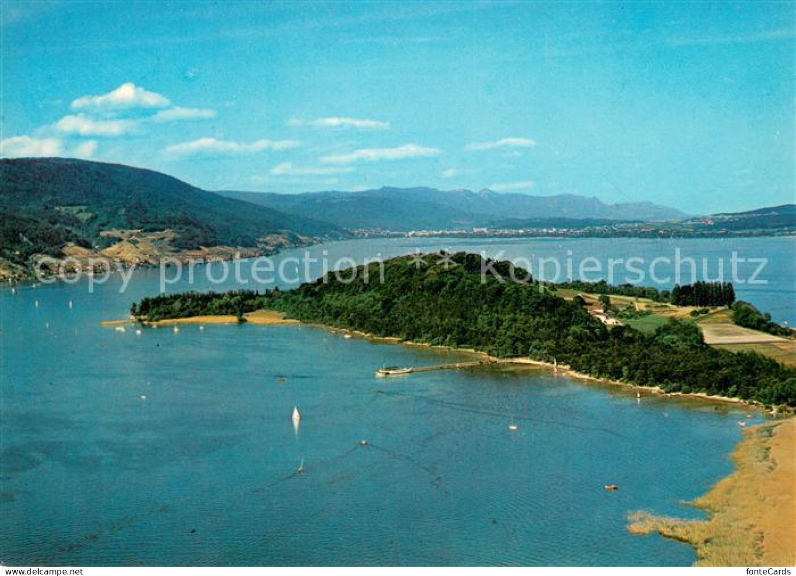 St Petersinsel Fliegeraufnahme Bielersee