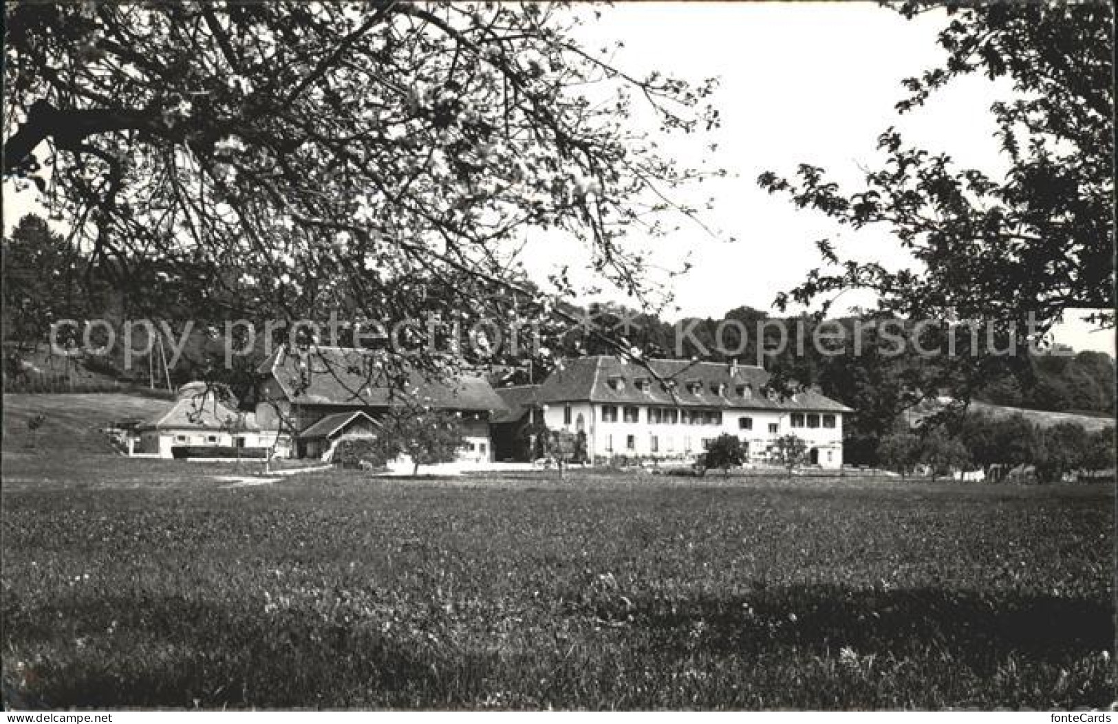 St Petersinsel Hotel St Petersinsel Lac de Bienne