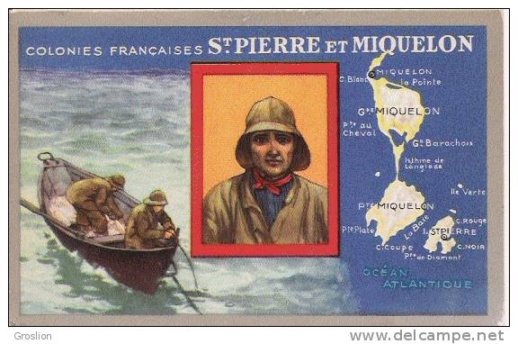 ST PIERRE ET MIQUELON COLONIES FRANCAISES (CARTE PUBLICITE LION NOIR)