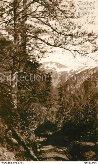 Juneau Alaska Landschaftsbild