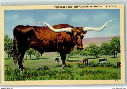 10358975 - Austin