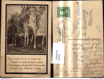192039,New Hampshire White Mountains Birke Baum Bäume