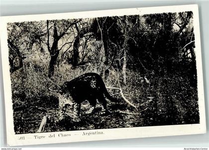 39188318 - Tigre del Chaco - Argentinien