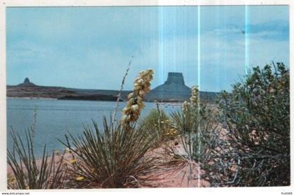AK 258351 USA - Lake Powell - Desert Contrast