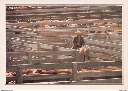 ETATS UNIS AMARILLO CORRAL