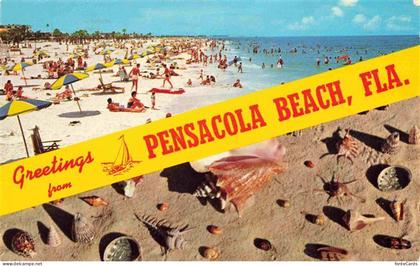 Pensacola Beach Florida USA Panorama Strand Muscheln