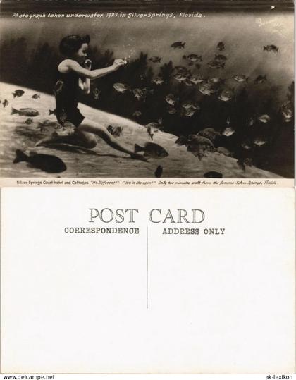 Silver Springs (Florida) Mädchen taucht mit Fischen - underwater Phot 1925