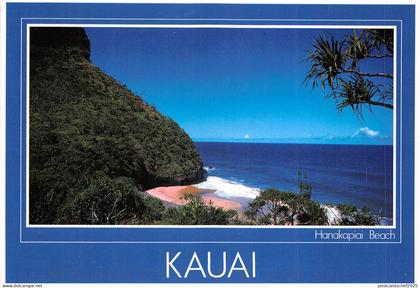 US15 USA Kauai island Hawaii Hanakapiai beach 1996 hawai