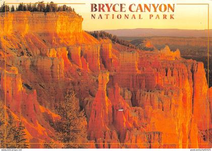 US7 USA Bryce Canyon National Park Agua Canyon 2005