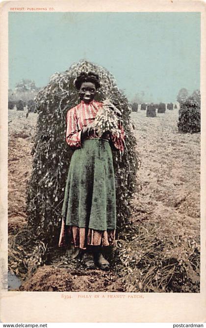 Usa - Black Americana - Polly in a peanut patch