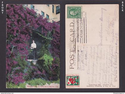 Postcard, United States, California CA, Bouganvillea, A Veranda in Winter